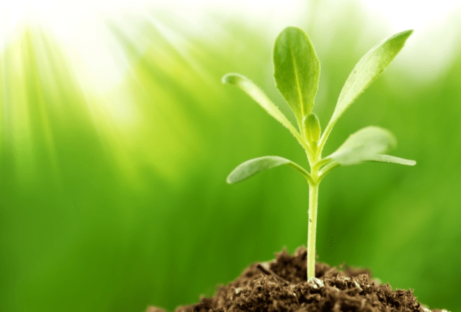 screenshot 2019-01-17 at 13.38.53